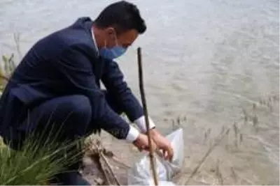 Bilecik'teki 9 gölete 54 bin sazan yavrusu salındı