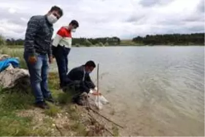 Bilecik'teki 9 gölete 54 bin sazan yavrusu salındı Bilecik'teki 9 gölete 54 bin sazan yavrusu salındı