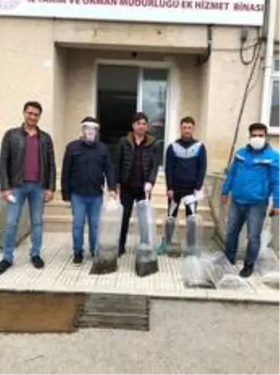 Bilecik'teki 9 gölete 54 bin sazan yavrusu salındı Bilecik'teki 9 gölete 54 bin sazan yavrusu salındı