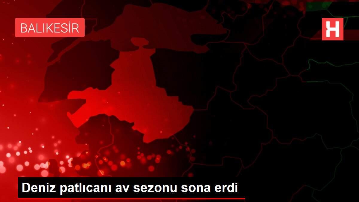 Deniz patlıcanı av sezonu sona erdi