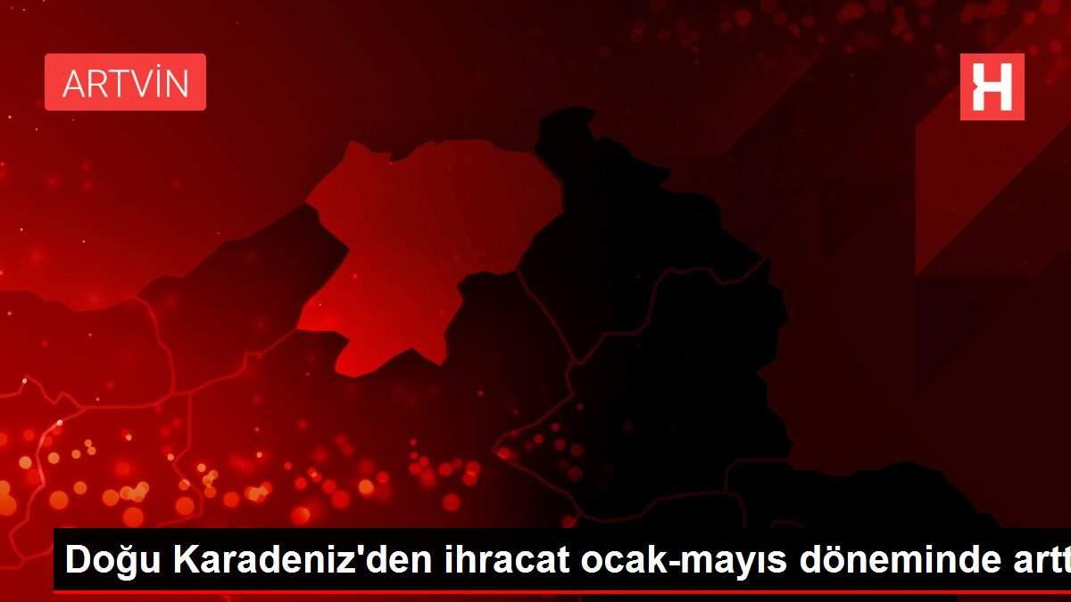 Doğu Karadeniz'den ihracat ocak-mayıs döneminde arttı