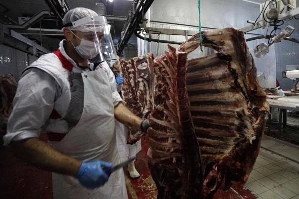Et ve Süt Kurumu, pandemiden etkilenmedi Haber