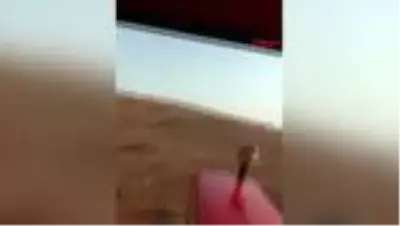 Hindistan'da çekirge sürüsü istilasına karşı sıra dışı yöntem Hindistan'da çekirge sürüsü istilasına karşı sıra dışı yöntem