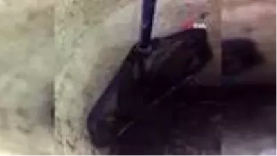 İtfaiye'den su kuyusuna düşen tilkiyi kurtarma operasyonu operasyonu İtfaiye'den su kuyusuna düşen tilkiyi kurtarma operasyonu operasyonu