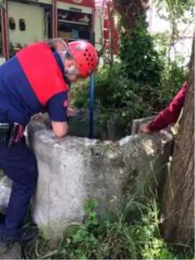İtfaiyeden tilki kurtarma operasyonu İtfaiyeden tilki kurtarma operasyonu
