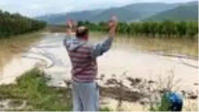 İznik'te sağanak; tarım arazilerinde zarar büyük İznik'te sağanak; tarım arazilerinde zarar büyük