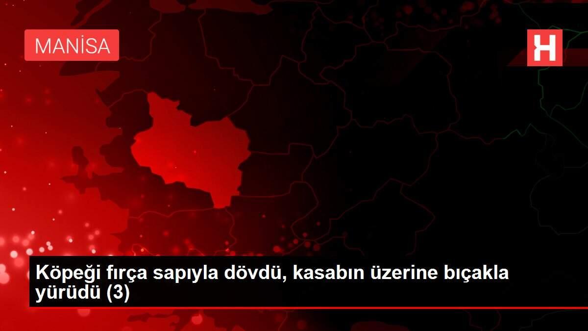 Köpeği fırça sapıyla dövdü, kasabın üzerine bıçakla yürüdü (3) Köpeği fırça sapıyla dövdü, kasabın üzerine bıçakla yürüdü (3)