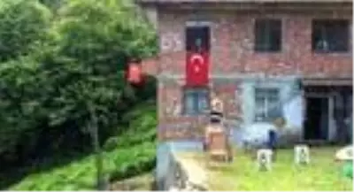 Koronavirüse yakalanan üreticinin çayını komşuları topladı Koronavirüse yakalanan üreticinin çayını komşuları topladı