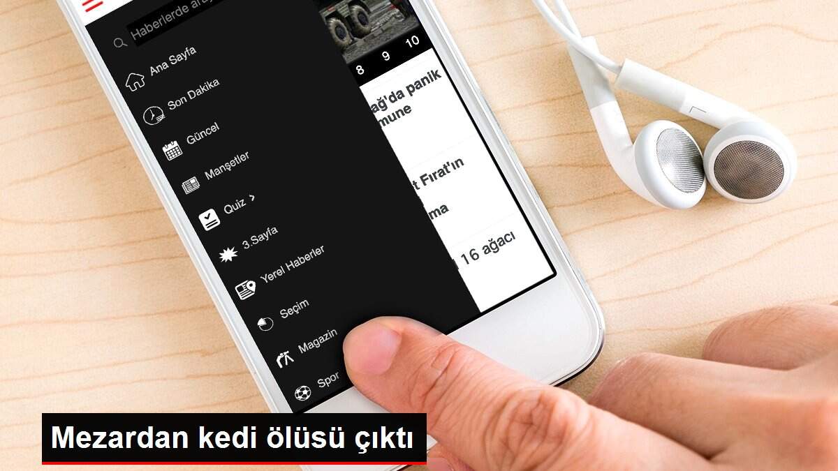 Mezardan kedi ölüsü çıktı