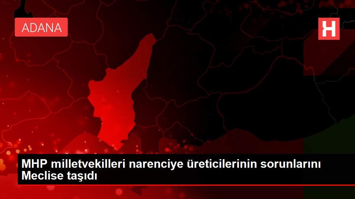 MHP milletvekilleri narenciye üreticilerinin sorunlarını Meclise taşıdı
