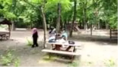 Parklar ve ormanlar yeniden ziyarete açıldı Parklar ve ormanlar yeniden ziyarete açıldı