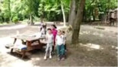 Parklar ve ormanlar yeniden ziyarete açıldı Parklar ve ormanlar yeniden ziyarete açıldı
