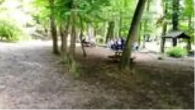 Parklar ve ormanlar yeniden ziyarete açıldı Parklar ve ormanlar yeniden ziyarete açıldı