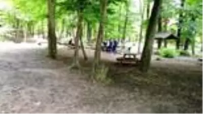 Parklar ve ormanlar yeniden ziyarete açıldı Parklar ve ormanlar yeniden ziyarete açıldı