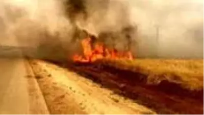 Tarım arazisindeki bu yangın basit bir yangın değil, terörün insanlığa açtığı savaşın delili Tarım arazisindeki bu yangın basit bir yangın değil, terörün insanlığa açtığı savaşın delili