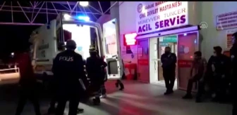 Aydın'da otomobil ağaca çarptı: 4 yaralı