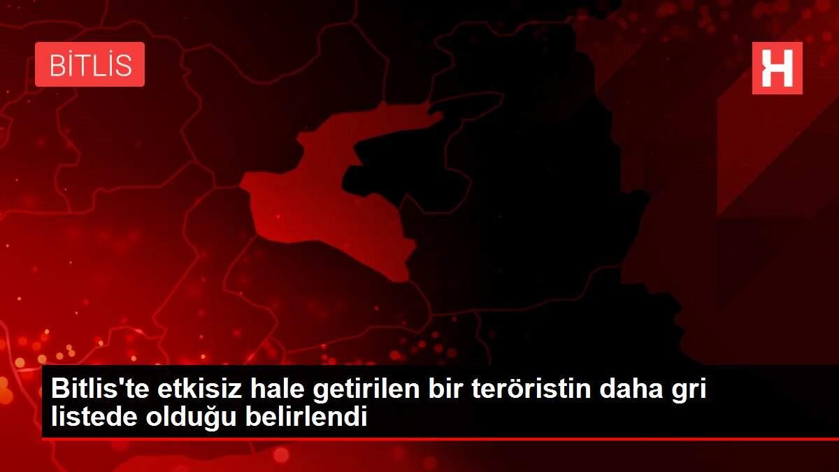 Son dakika haberleri: Bitlis'te etkisiz hale getirilen bir teröristin daha gri listede olduğu belirlendi Son dakika haberleri: Bitlis'te etkisiz hale getirilen bir teröristin daha gri listede olduğu belirlendi