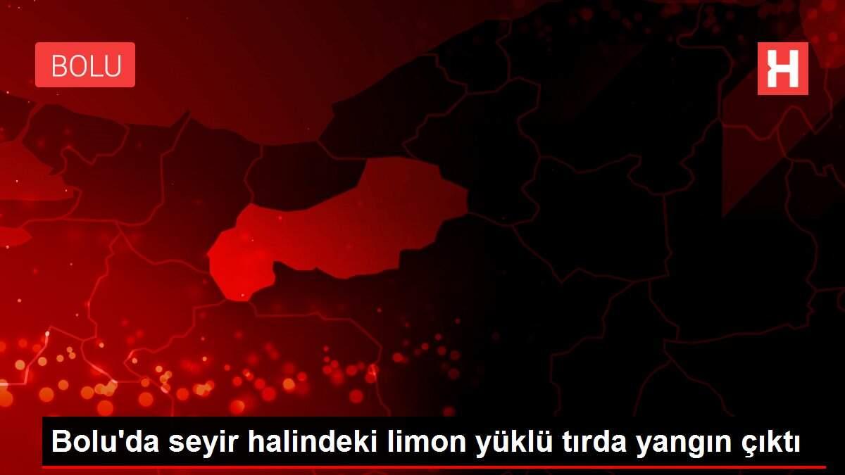 Bolu'da seyir halindeki limon yüklü tırda yangın çıktı