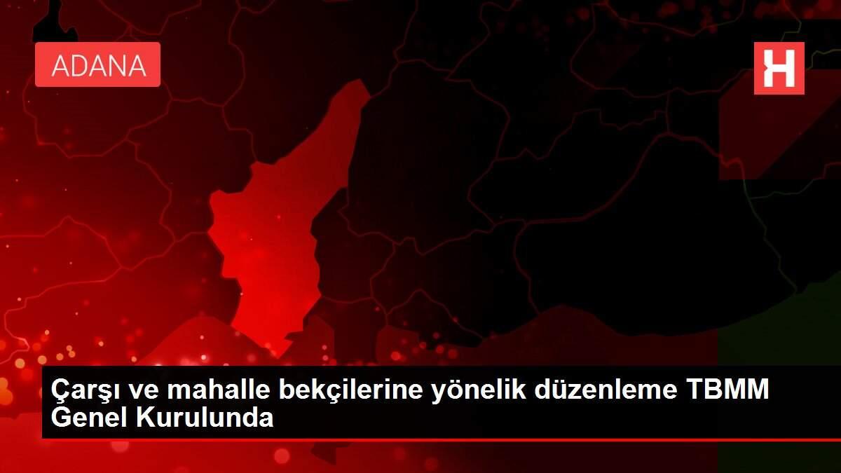 Çarşı ve mahalle bekçilerine yönelik düzenleme TBMM Genel Kurulunda Çarşı ve mahalle bekçilerine yönelik düzenleme TBMM Genel Kurulunda