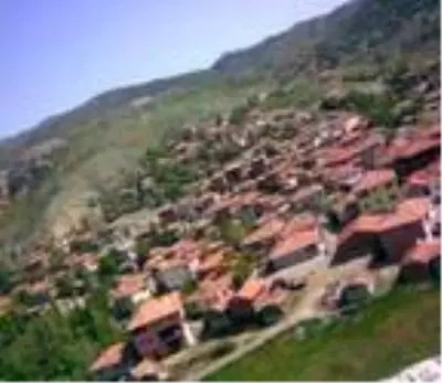 Son dakika haber! Çorum'da amca çocuklarının kavgasında baba ve oğlu öldü