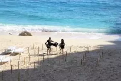Dünyaca ünlü plajda 'yeni düzen' Dünyaca ünlü plajda 'yeni düzen'