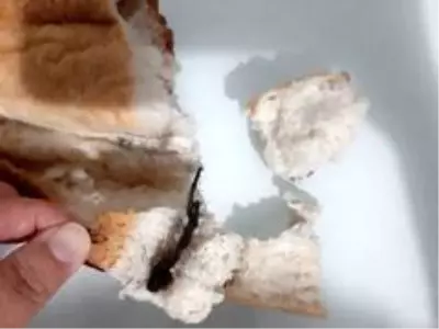 Ekmeğin içinden çıkanlar mide bulandırdı Ekmeğin içinden çıkanlar mide bulandırdı