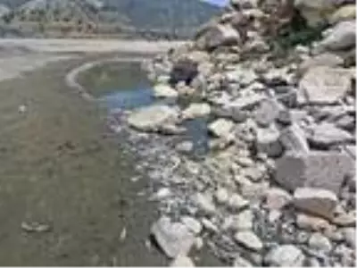 Son dakika haberi: Gölbaşı'ndaki balık ölümleriyle ilgili inceleme