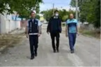 İpsala'da 12 kedi ve 3 köpek zehirli etle öldürüldü İpsala'da 12 kedi ve 3 köpek zehirli etle öldürüldü