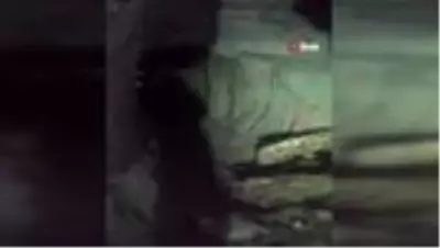 Kahraman Komandolarımız Irak Kuzeyinde 3 Odalı mağarayı tespit ederek imha etti