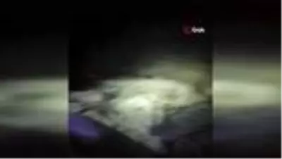 Kahraman Komandolarımız Irak Kuzeyinde 3 Odalı mağarayı tespit ederek imha etti