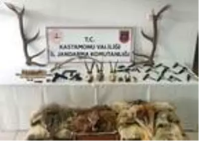 Kastamonu'da geyik ve karaca vuran 2 kişiye gözaltı Kastamonu'da geyik ve karaca vuran 2 kişiye gözaltı