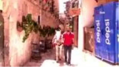 Mardin’in meşhur süslü atları ziyaretçilerini bekliyor