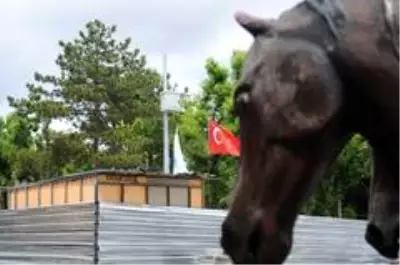 MOBESE'ye aldırış etmeden pervasız hırsızlık