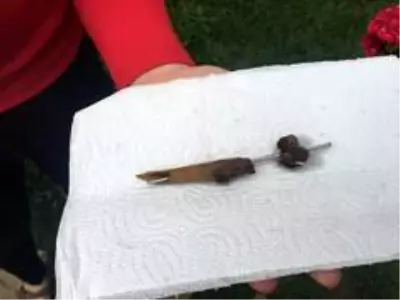 Oyuncu Gamze Topuz'un köpeklerine çivili kemik attılar