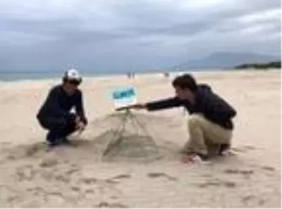 Patara'da caretta carettalar yumurta bırakmaya başladı