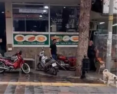 Sokak köpeğine sopayla vuran şahsa ceza yağdı