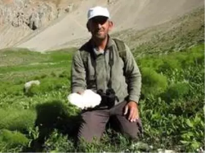Yağmurların ardından vatandaşlar mantar topluyor Yağmurların ardından vatandaşlar mantar topluyor