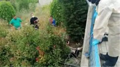 Yaşlı kadın 3 metrelik istinat duvarından ağaçlık alana düştü Yaşlı kadın 3 metrelik istinat duvarından ağaçlık alana düştü