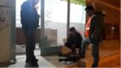 Yolda gördüğü yaralı köpeği aracıyla veterinere götürdü Yolda gördüğü yaralı köpeği aracıyla veterinere götürdü