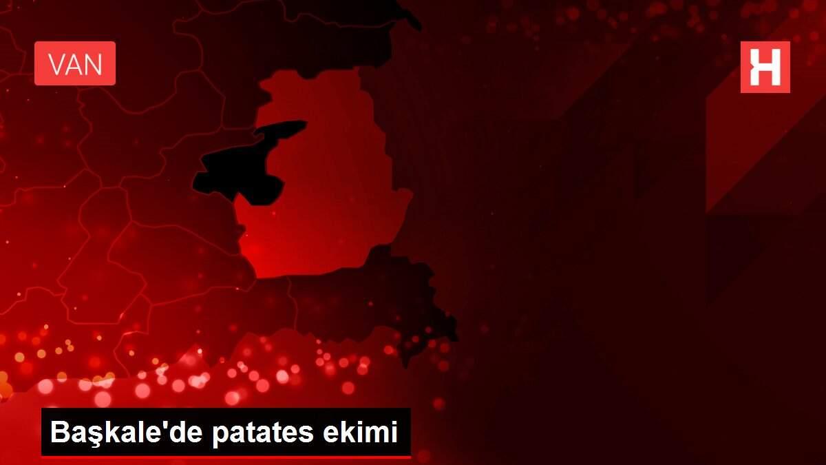 Başkale'de patates ekimi Başkale'de patates ekimi