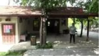 Son dakika haberleri | İpek böcekçiliği Defne Koza Evi'nde yaşatılıyor Son dakika haberleri | İpek böcekçiliği Defne Koza Evi'nde yaşatılıyor