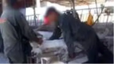 Peru'da alpaka develerine yapılan işkence kamerada Peru'da alpaka develerine yapılan işkence kamerada