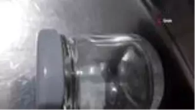 Üzerinde gezinirken yakaladığı keneyi, doğaya bıraktı Üzerinde gezinirken yakaladığı keneyi, doğaya bıraktı