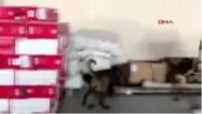 VAN Kireç önleyici ürün paketlerinin içinde 82 kilo eroin ele geçirildi VAN Kireç önleyici ürün paketlerinin içinde 82 kilo eroin ele geçirildi