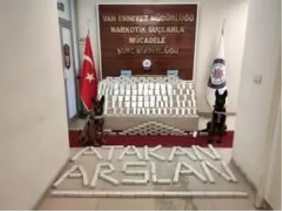 Zeyna ve Zeus'un katıldığı operasyonda 82 kilo eroin ele geçirildi Zeyna ve Zeus'un katıldığı operasyonda 82 kilo eroin ele geçirildi
