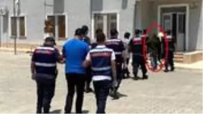 15 yaşındaki kıza ve 5 kadına fuhuş yaptıran 9 şüpheli gözaltına alındı 15 yaşındaki kıza ve 5 kadına fuhuş yaptıran 9 şüpheli gözaltına alındı