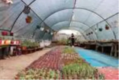 18 yıl önce günlüğüne yazdığı hayalini gerçekleştirdi