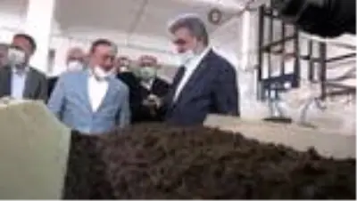 AK Parti Genel Başkan Yardımcısı Yazıcı çay fabrikasını ziyaret etti