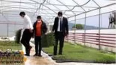 Bingöl çiftçisinin yüzü, yerli 'Guldar' ve 'Dodan' fideleriyle gülecek Bingöl çiftçisinin yüzü, yerli 'Guldar' ve 'Dodan' fideleriyle gülecek