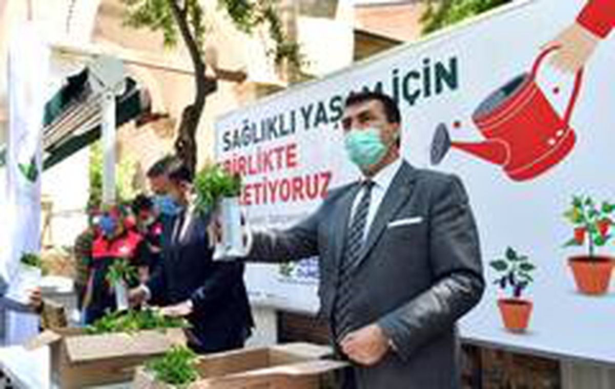 Dündar'dan yerli ve milli sebze fidesi
